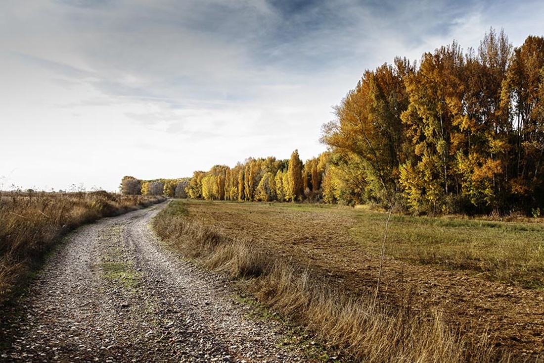 Otoño en Castilla